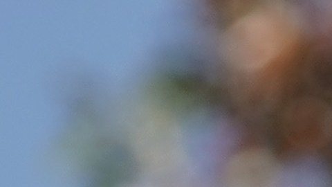 Sanders habría llamado a los jefes de los sindicatos.