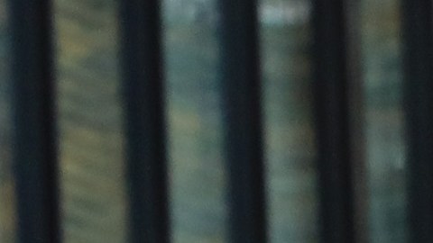 El grupo asegura que fueron las elecciones "más seguras de la historia de Estados Unidos".