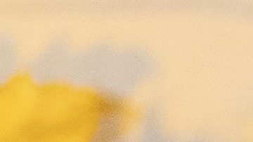 Muchos especulan sobre el futuro de Melania Trump.