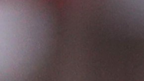 Biden podrá revertir las medidas adoptadas por decreto.