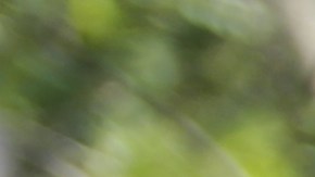 Guatemala aún no se recupera del desastre del  huracán Eta.