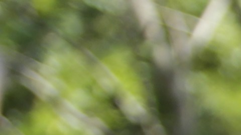 Guatemala aún no se recupera del desastre del  huracán Eta.