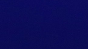 AILA hizo una serie de recomendaciones a la próxima Administración.