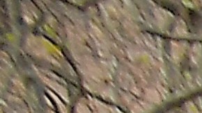 Bancos de alimentos de todo el país han experimentado récord de demanda.