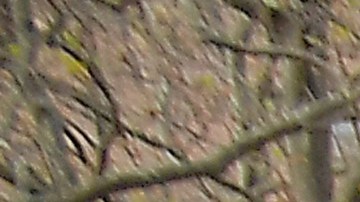 Bancos de alimentos de todo el país han experimentado récord de demanda.