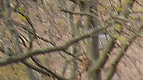 Bancos de alimentos de todo el país han experimentado récord de demanda.