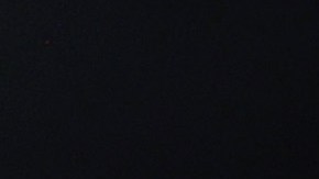 Un video de Harris explicando cómo prepara el pavo se hizo viral el año pasado.