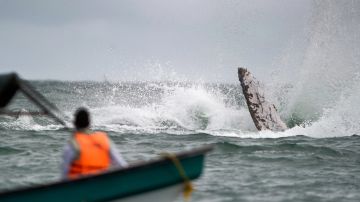 La aventura de avistamiento de ballenas en kayac fue demasiado cercana para dos mujeres en Avila Beach.