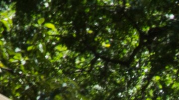 Con los fondos del P-EBT puede adquirir alimentos en supermercados y ferias agrícolas.