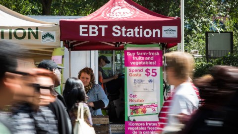 Con los fondos del P-EBT puede adquirir alimentos en supermercados y ferias agrícolas.