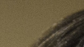 Se espera que Biden haba público los nombramientos en breve.