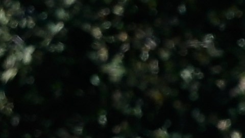 La familia denuncia uso de fuerza excesiva contra el hombre.