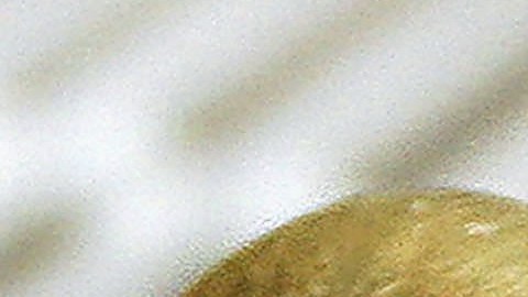 La psilocibina es la sustancia psicodélica natural que se encuentra en los hongos.