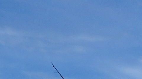 Las aguas termales Morning Glory en el Parque Nacional Yellowstone en Wyoming, el 14 de mayo de 2016.