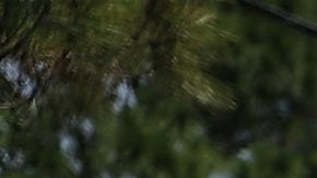 La Policía informó que el atacante murió en la escena. Foto de archivo.