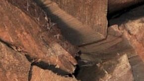 Kendall Jenner and Kylie Jenner