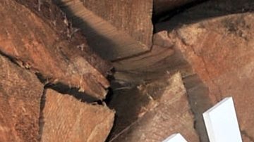 Kendall Jenner and Kylie Jenner