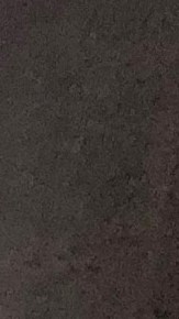 La familia abrió su corazón a Ethan, un niño hispano con Síndrome de Down.