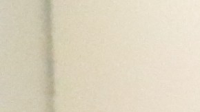 Jóvenes migrantes votan en el este de LA.