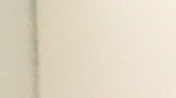 Jóvenes migrantes votan en el este de LA.