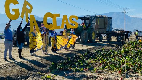 La Comisión Laboral de California inicia campaña para educar a los trabajadores sobre sus derechos durante COVID-19. (Cortesía TODEC Legal)