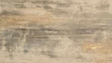 Carlos Ponce junto a sus hijas Sienna y Savannah