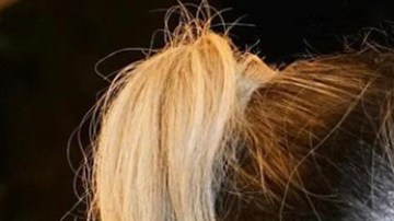 Helen Ochoa se casó con Juan Pablo Santos