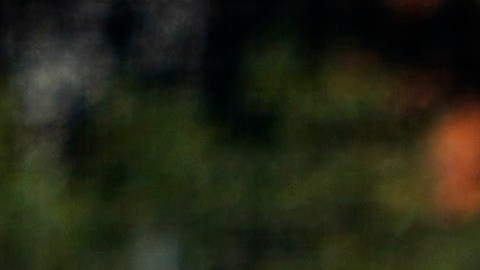 Betzy Cassandra Cuevas