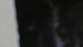 Marysol Sosa no sabe las razones por las que Sarita no forma parte de la herencia de José José.