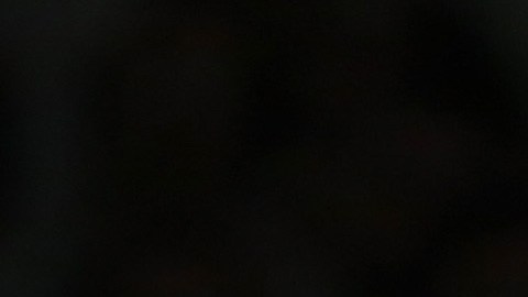 Muere Tommy Heinsohn