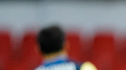 Nauhuel oso américa tigres