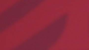 Que no se fabriquen delitos, señala AMLO en caso Estafa Maestra.