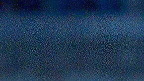 Pumas campeones cuatro grandes