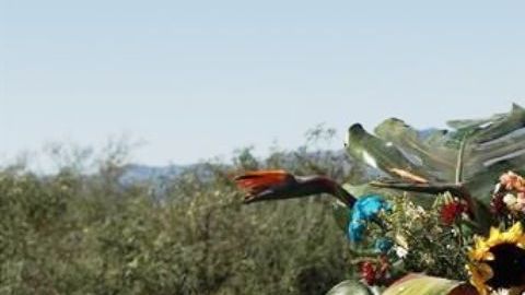 Recuerdan a las víctimas de la masacre