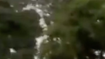 El trailer tenía 80,000 libras de carga cuando se volcó.