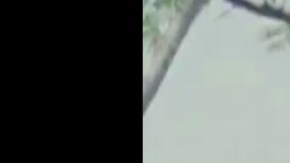 VIDEO: Exhiben al Compa Cross, jovencito presunto miembro de Cárteles Unidos