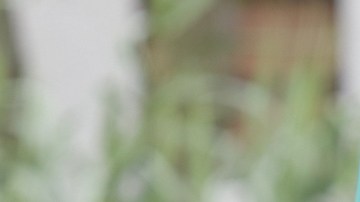 Christopher Landau, Embajador de los Estados Unidos ante México