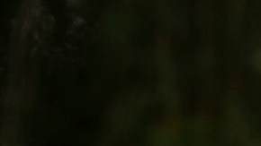 Victor Gordo gana elección para alcalde de Pasadena. (Cortesía Victor Gordo)