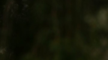 Victor Gordo gana elección para alcalde de Pasadena. (Cortesía Victor Gordo)