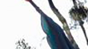 El Club Atlético de Migrantes de Nueva York, en pie pese a la pandemia.