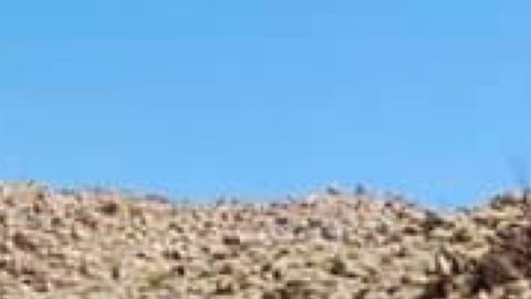 Los voluntarios muestran las bolsas de ropa que dejan en diversos caminos del desierto.
