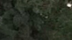 James Goode junto a su hijo, Joziaa, paseando en bicicleta antes del accidente.