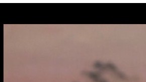 Familias y amigos se dividen por Trump y Biden. (Impremedia)