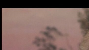 Familias y amigos se dividen por Trump y Biden. (Impremedia)