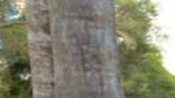 Maru Galván llora de alegría y abraza a su hija Zayra Barajas, quien tiene DACA. / foto: Jorge Luis Macías.