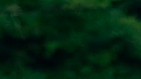 La ambulancia llegó poco tiempo después de la llamada.