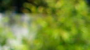 Autoridades apresaron a más de 700 personas, de las que 641 son miembros de pandillas.