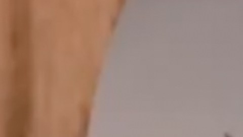 'Buscando a Frida' es lo nuevo de Telemundo.