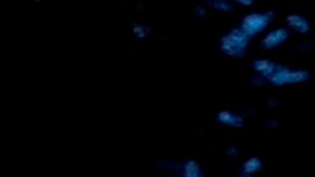 La pancarta de esta mujer en Los Ángeles resume el resultado de la elección.