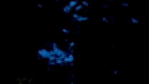 La pancarta de esta mujer en Los Ángeles resume el resultado de la elección.